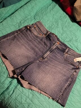 GAP ☆ High Rise, Low Strerch Denim Jean Shorts